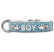 Doxtasy Hondenhalsband met naam Medium Babyblue