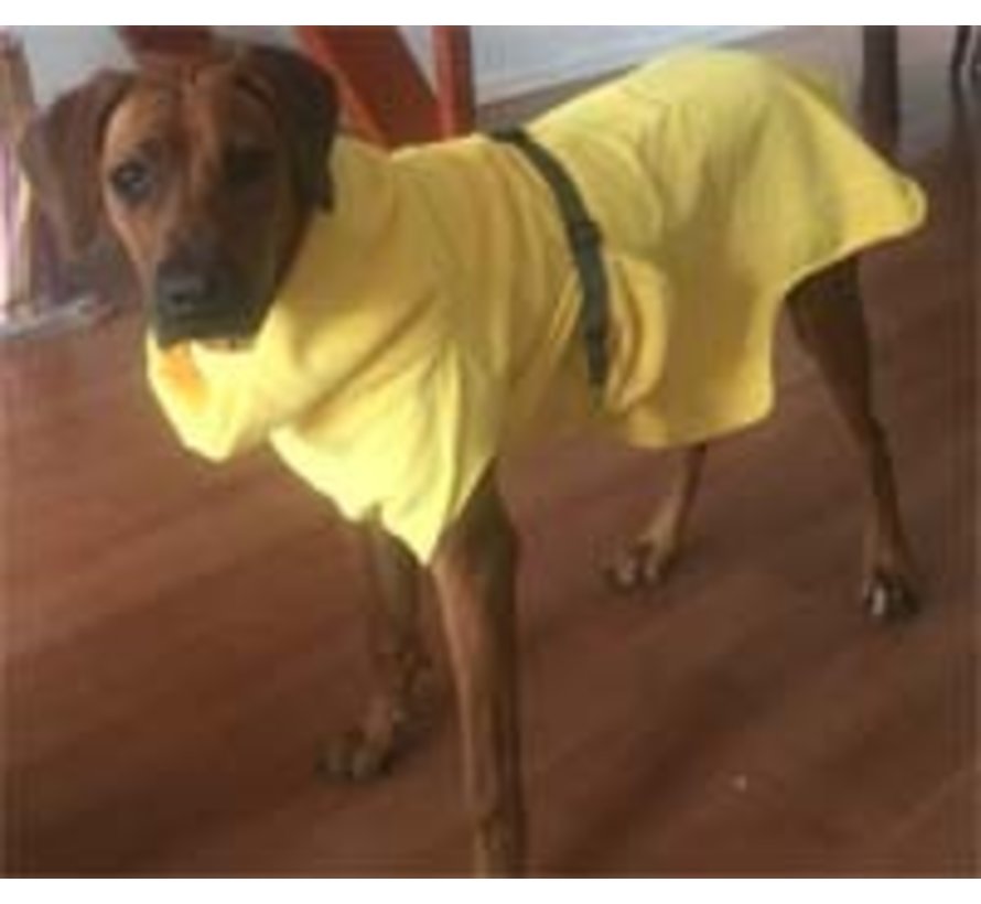 Dog Bathrobe Doggy Dry Yellow