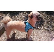 Aqua Coolkeeper Koelharnas Comfy Cool Blue