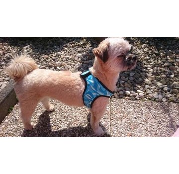 Aqua Coolkeeper Koelharnas Comfy Cool Blue