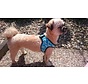 Cool Harness Comfy Cool Blue