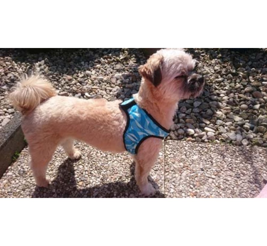 Koelharnas Comfy Cool Blue