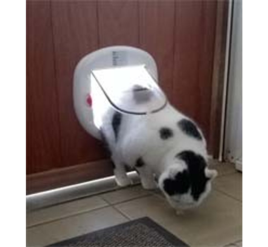 Staywell Big Cat Flap