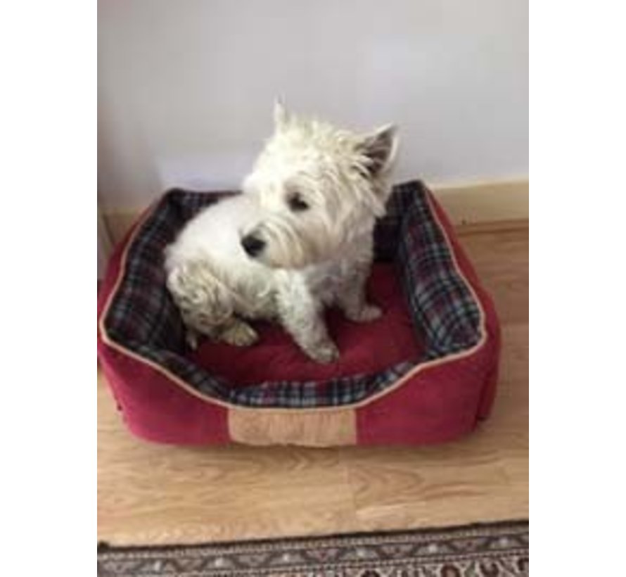 Dog Bed Highland Red