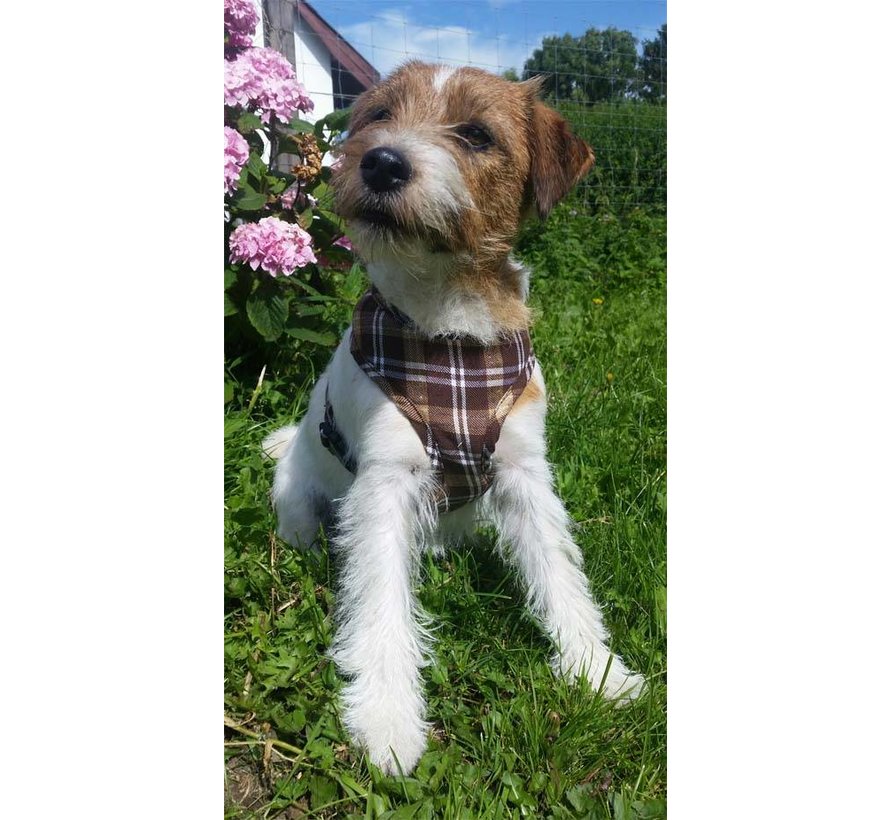 Hondentuig Round Loop Harness Scottish Brown