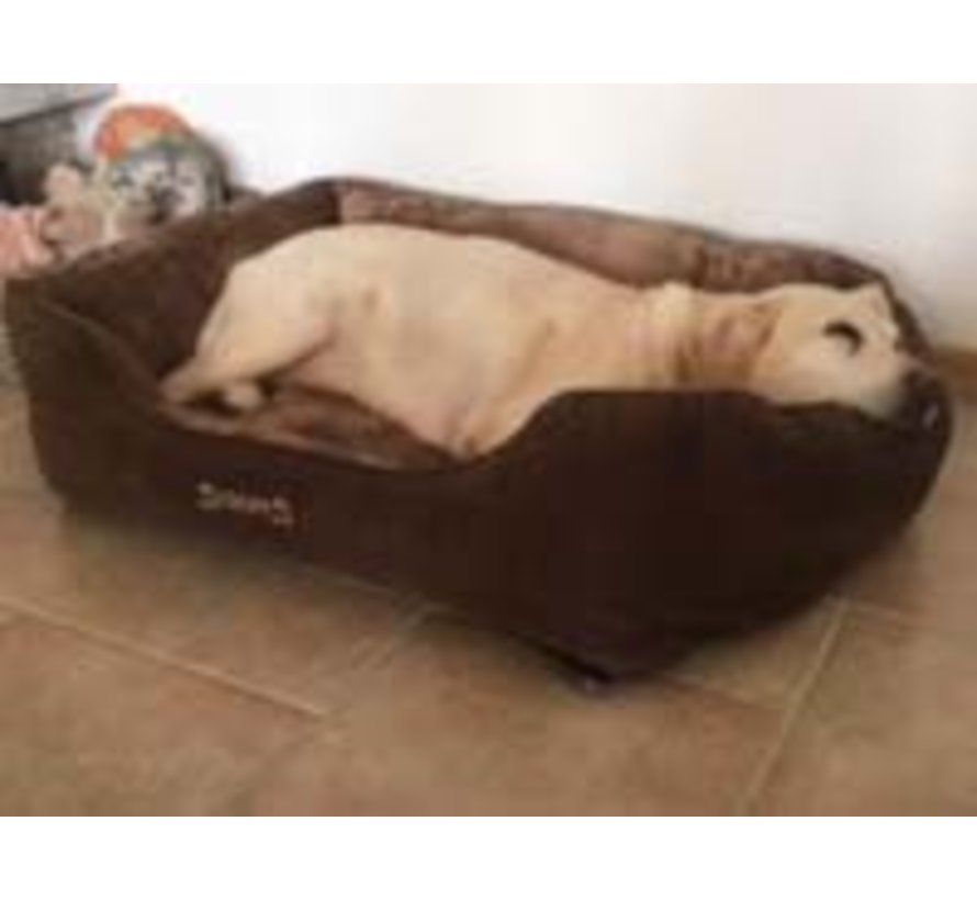 Dog Bed Chester Box Bed Chocolate