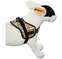 Dog harness Survival harness Scottish Beige