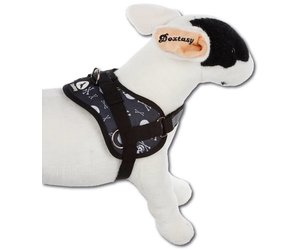Doxtasy Survival dog harness Skull and Bones Petsonline