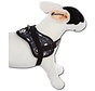 Dog harness Survival harness Skull and Bones