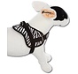 Dog harness Survival harness Zebra