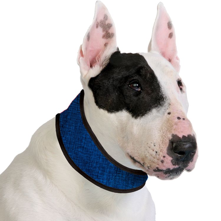 Afbeelding Aqua Coolkeeper Collar - Pacific Blue door Petsonline