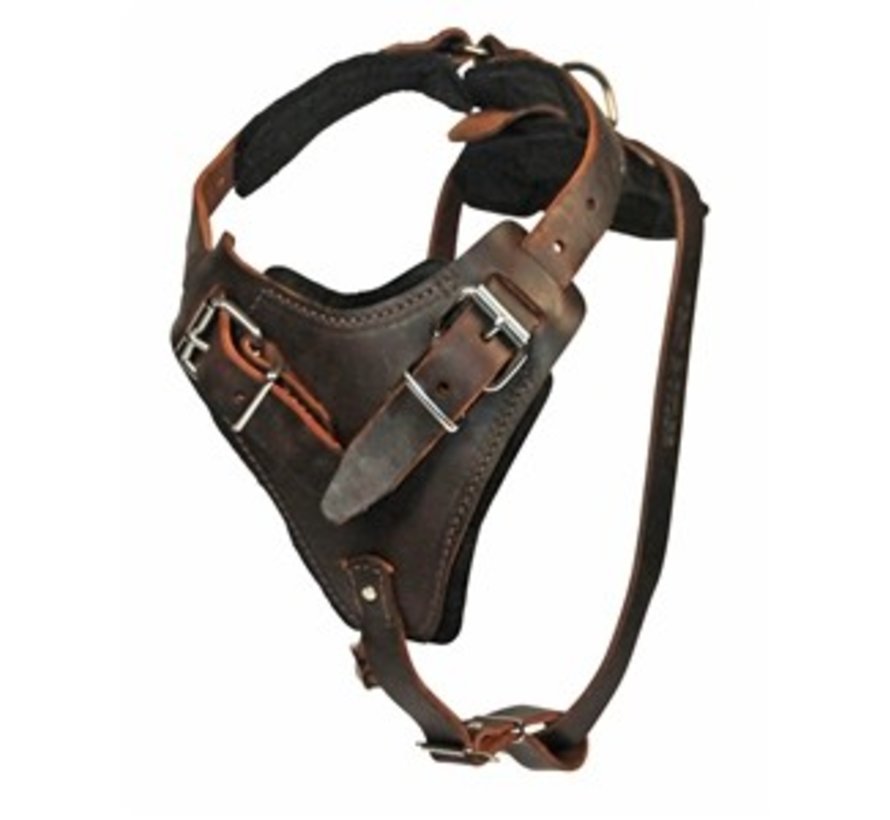 Dog Harness The Boss