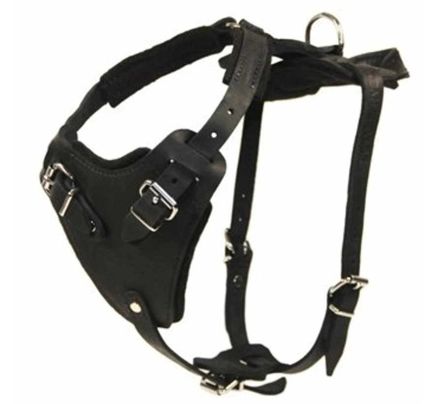 Dog Harness The Boss