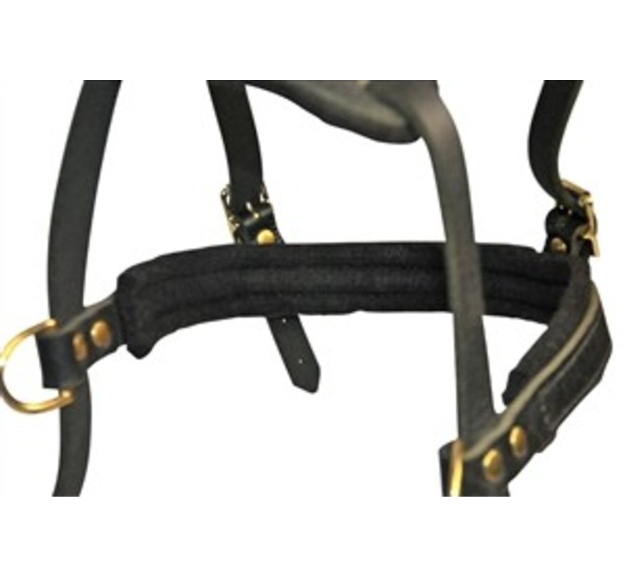  Dean and Tyler The Victory Solid Brass Hardware Dog Harness  with Handle, Brown, Large - Fits Girth Size: 31-Inch to 41-Inch : Pet  Harnesses : Pet Supplies