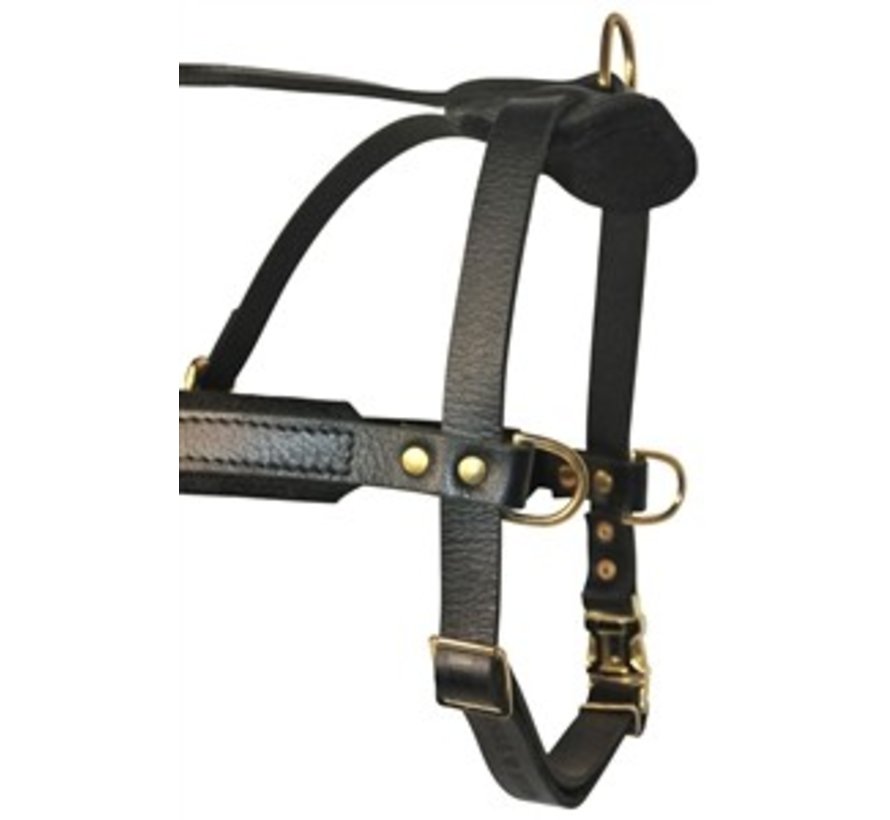  Dean and Tyler The Victory Solid Brass Hardware Dog Harness  with Handle, Brown, Large - Fits Girth Size: 31-Inch to 41-Inch : Pet  Harnesses : Pet Supplies