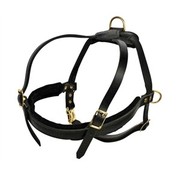 Dean and Tyler Dog Harness Cowboy