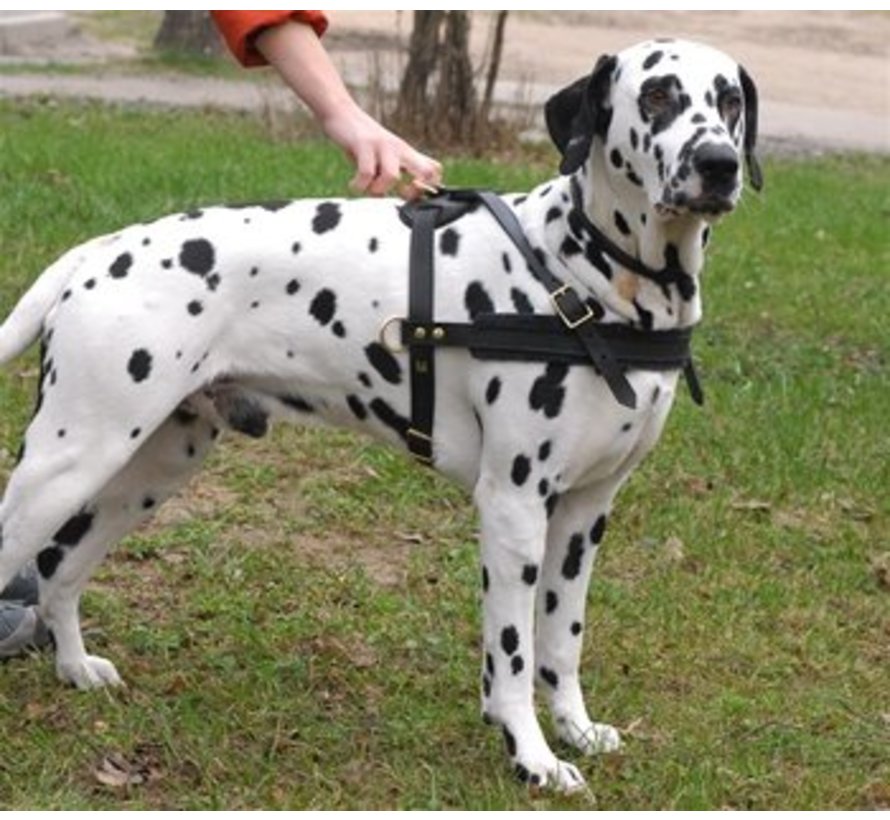 Dog Harness Cowboy