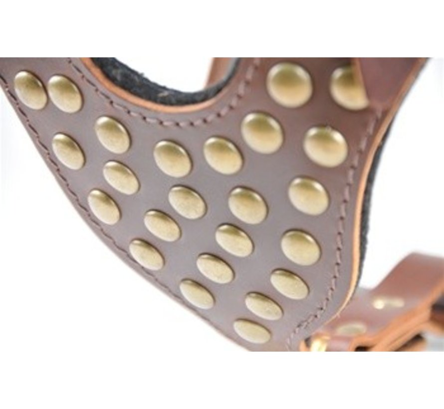 Hondentuig Stud Brother