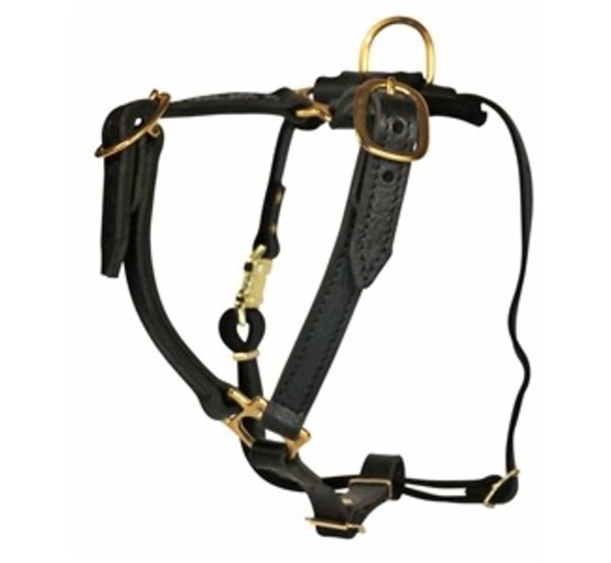 Dog Harness Tyler's Choice