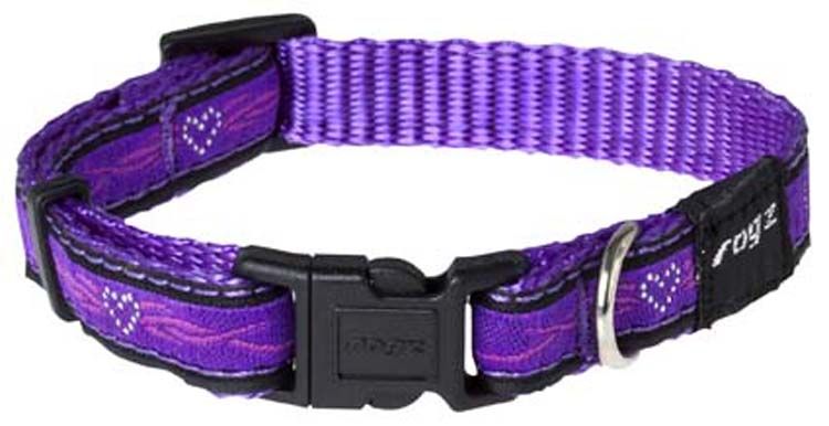 Hondenhalsband Purple Chrome