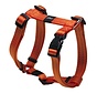 Dog Harness Utility Orange