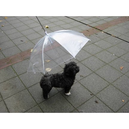 Dog Umbrella