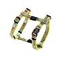 Dog Harness Trendy Multi Bones