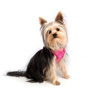 Rogz Dog Harness Wrapz Pink Bones