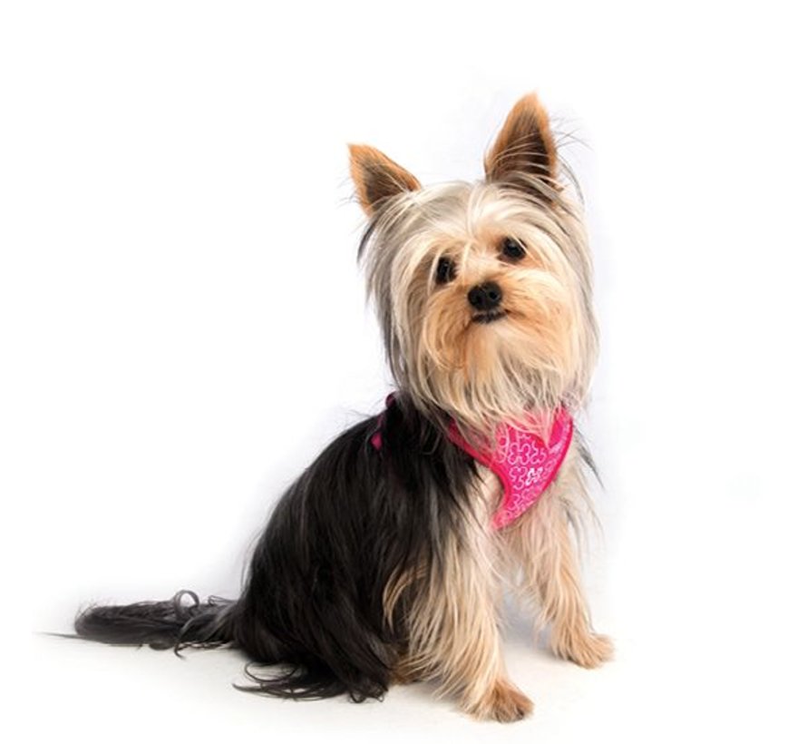 Dog Harness Wrapz Pink Bones