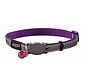 Cat Collar NightCat Purple Budgies