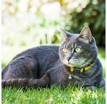 Rogz Kattenhalsband AlleyCat Geel