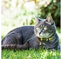 Kattenhalsband AlleyCat Geel