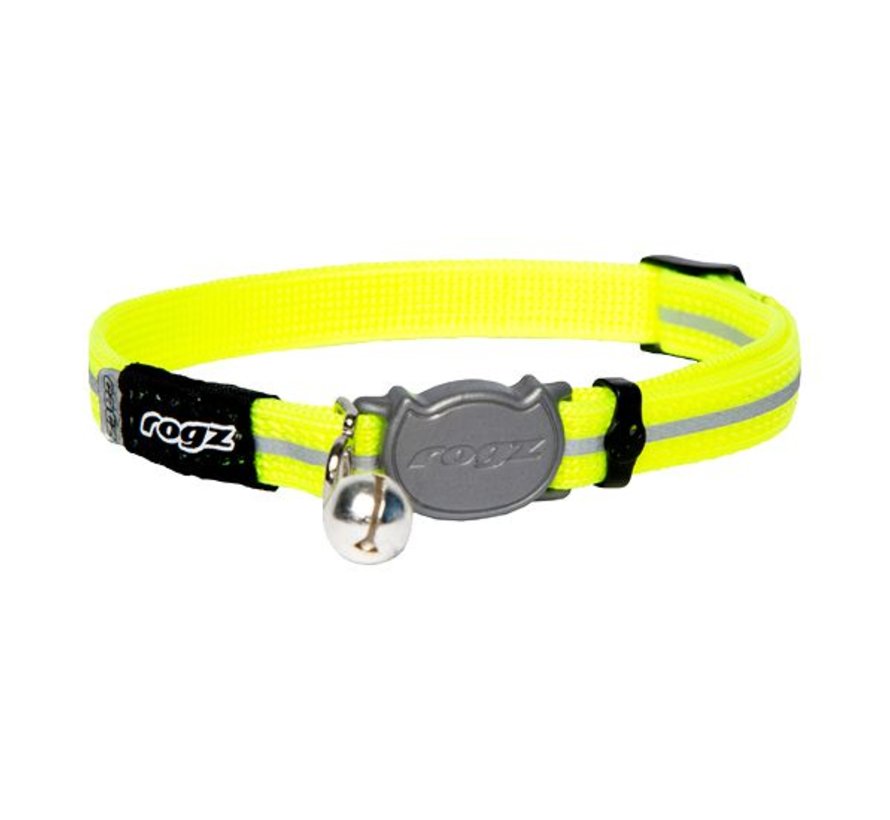 Cat Collar AlleyCat Dayglo