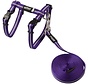 Cat Harness AlleyCat Purple