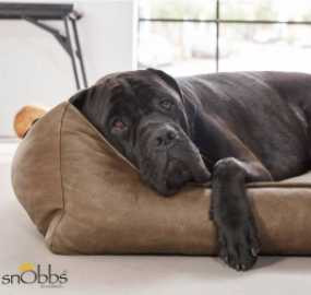 Dog Beds