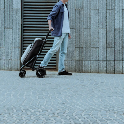 De 3 nieuwste boodschappentrolleys met veiligheidsrem