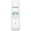 Goldwell Goldwell DualSenses Scalp Specialist Anti-Roos Shampoo (250ml)