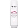 Goldwell DualSenses Color Extra Rich Brilliance Shampoo