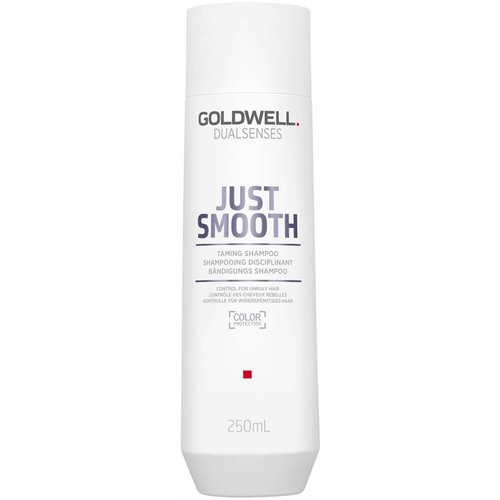 Goldwell DualSenses Just Smooth Taming Shampoo 