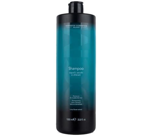 DCM Dry Hair Shampoo (1000ml) 