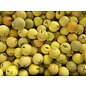 Best Buy Golfballen Budget mix geel ● 100 stuks ● AANBIEDING!