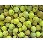 Best Buy Golfballen Budget mix geel ● 100 stuks ● AANBIEDING!