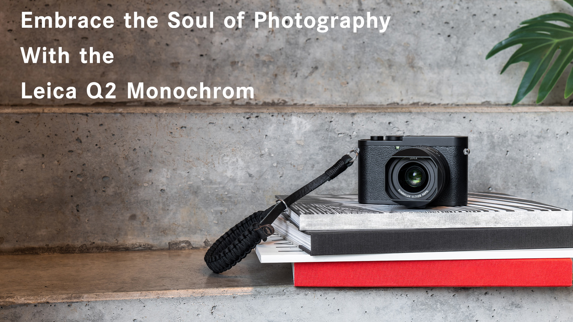 Leica Q2 Monochrom 47 mp black and white