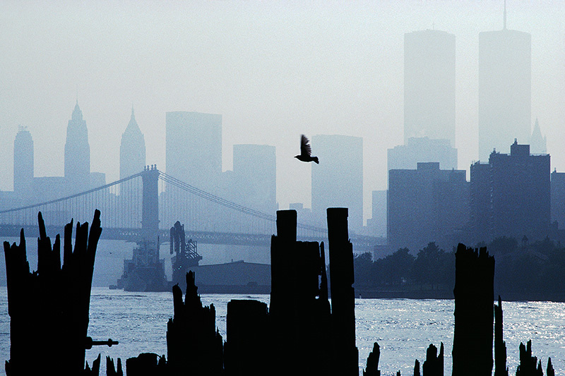 ICONS by Thomas Hoepker