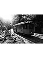 Leica D-Lux 8. Travel Stories in Your Pocket