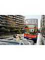 Street Photography Secrets with Matt Stuart