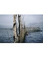 Leica Storytelling Workshop