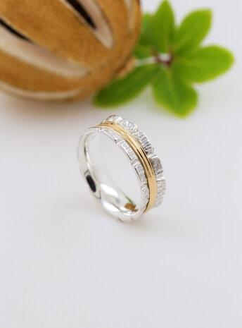 Bond: Ring aus 925er Silber und 750er Gold