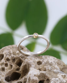 Verlobungsring "Ringlein 1" Bicolor Diamant Verlobungsring "Ringlein 1" Bicolor Diamant