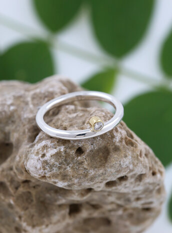 Ringlein 2: Bicolor Ring aus 925er Silber, 750er Gold und seitlichem Diamant Ringlein 2: Bicolor Ring aus 925er Silber, 750er Gold und seitlichem Diamant